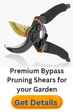 Pruning Shears